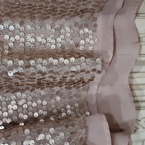 NWT Love On A Hangar Nude Sequince V Neck Tank Top Sz M - Picture 7 of 9